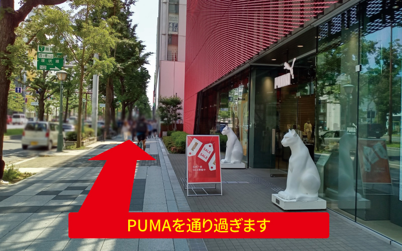 道案内画像